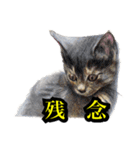 犬猫画スタンプ（個別スタンプ：9）