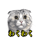 犬猫画スタンプ（個別スタンプ：10）