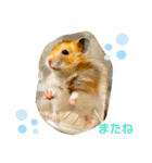 【虎之介】とらちゃんスタンプ（個別スタンプ：5）