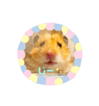 【虎之介】とらちゃんスタンプ（個別スタンプ：6）