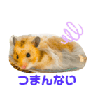 【虎之介】とらちゃんスタンプ（個別スタンプ：14）