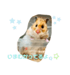 【虎之介】とらちゃんスタンプ（個別スタンプ：17）