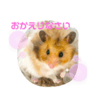 【虎之介】とらちゃんスタンプ（個別スタンプ：22）