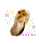 【虎之介】とらちゃんスタンプ（個別スタンプ：23）