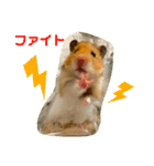 【虎之介】とらちゃんスタンプ（個別スタンプ：35）