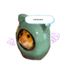 【虎之介】とらちゃんスタンプ（個別スタンプ：36）