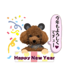 トイプードルむく助④（個別スタンプ：24）