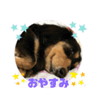 ちくわスタンプ①（個別スタンプ：7）