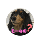 ちくわスタンプ①（個別スタンプ：15）