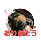 ちくわスタンプ①（個別スタンプ：22）