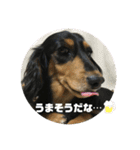 ちくわスタンプ①（個別スタンプ：25）