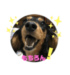 ちくわスタンプ①（個別スタンプ：26）