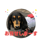 ちくわスタンプ①（個別スタンプ：28）