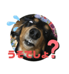 ちくわスタンプ①（個別スタンプ：35）