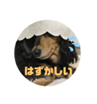 ちくわスタンプ①（個別スタンプ：40）