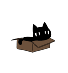 黒猫いづきくん（個別スタンプ：29）