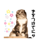 みんなともだち⑥（個別スタンプ：7）
