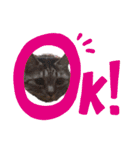 みんなともだち⑥（個別スタンプ：14）