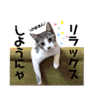 みんなともだち⑥（個別スタンプ：24）