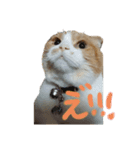 あろちゃま！（個別スタンプ：1）