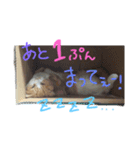あろちゃま！（個別スタンプ：2）