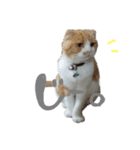 あろちゃま！（個別スタンプ：3）