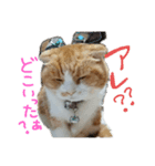あろちゃま！（個別スタンプ：6）