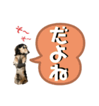 まるこ17（個別スタンプ：5）