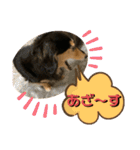 まるこ17（個別スタンプ：6）
