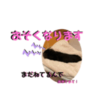 まるこ17（個別スタンプ：9）