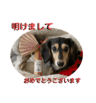 まるこ17（個別スタンプ：24）