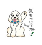 D＆CCピッコラの元気なこどもたち（個別スタンプ：10）