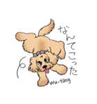 D＆CCピッコラの元気なこどもたち（個別スタンプ：15）