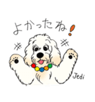 D＆CCピッコラの元気なこどもたち（個別スタンプ：16）