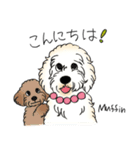 D＆CCピッコラの元気なこどもたち（個別スタンプ：20）