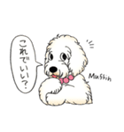 D＆CCピッコラの元気なこどもたち（個別スタンプ：21）