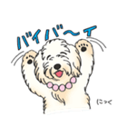 D＆CCピッコラの元気なこどもたち（個別スタンプ：31）