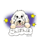 D＆CCピッコラの元気なこどもたち（個別スタンプ：33）