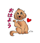 D＆CCピッコラの元気なこどもたち（個別スタンプ：35）