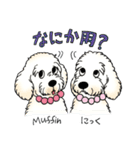 D＆CCピッコラの元気なこどもたち（個別スタンプ：37）