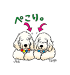 D＆CCピッコラの元気なこどもたち（個別スタンプ：39）