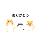 家のねこたち（個別スタンプ：19）