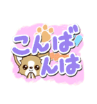 チワワ 犬スタンプ【油絵版】（個別スタンプ：5）