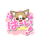 チワワ 犬スタンプ【油絵版】（個別スタンプ：8）