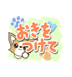 チワワ 犬スタンプ【油絵版】（個別スタンプ：33）