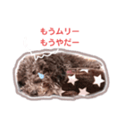 ぼく、ジルベール2（個別スタンプ：13）