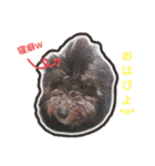 ぼく、ジルベール2（個別スタンプ：16）