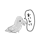 母が描いたカラス（個別スタンプ：1）