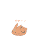 跳ねるうさぎ（個別スタンプ：14）