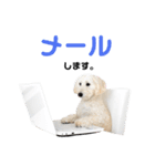 マリコロのお仕事編（個別スタンプ：1）